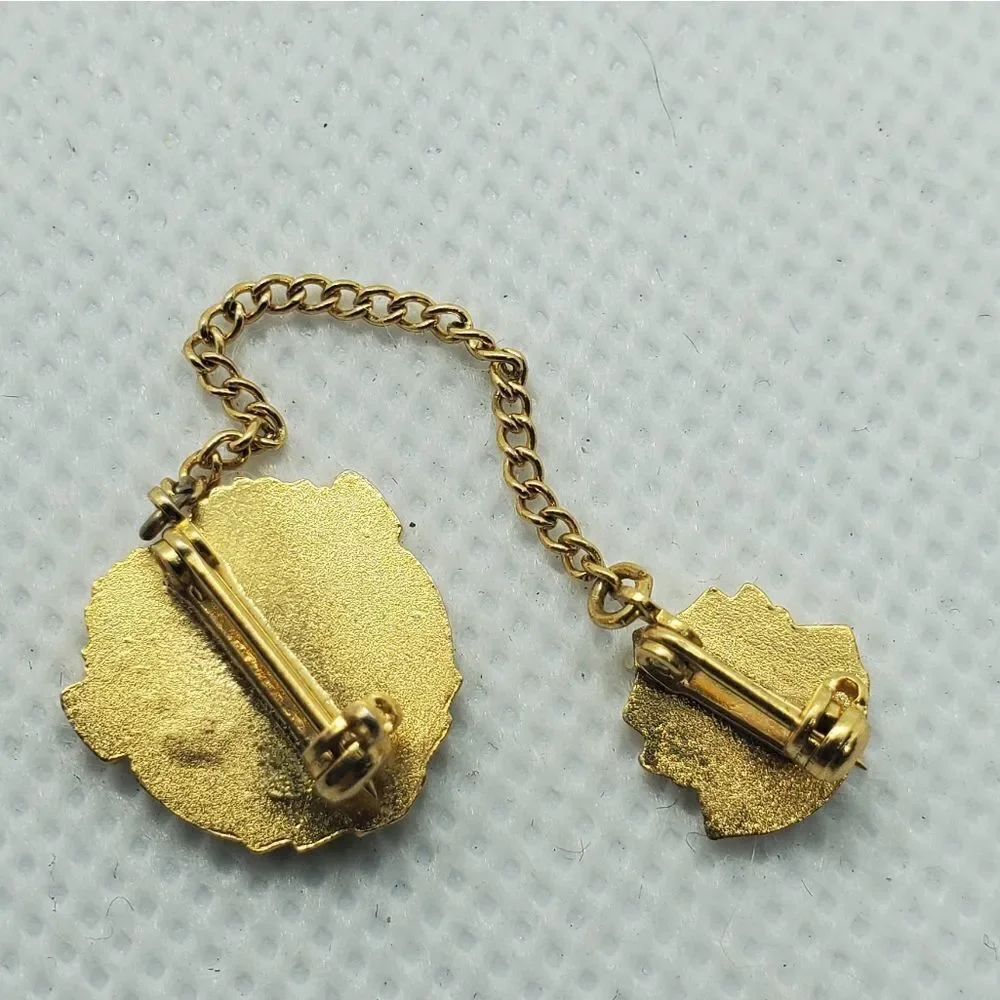 Vintage Student Council Pin